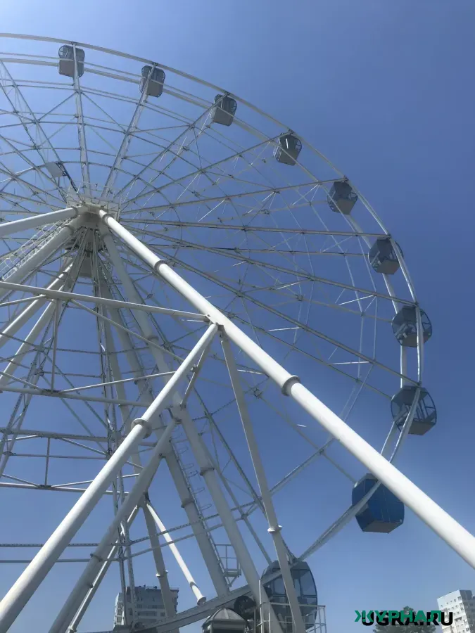 Благоустройство общественных территорий в Саратове и районах области: что планируют сделать