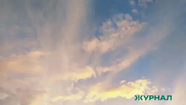 Тепло и без осадков: прогноз погоды в Саратове на ближайшие сутки