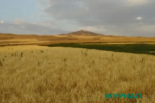Весенняя посевная кампания началась в Саратовской области