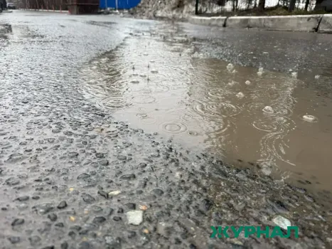 Пасмурная погода и дожди ожидаются в Саратове в воскресенье