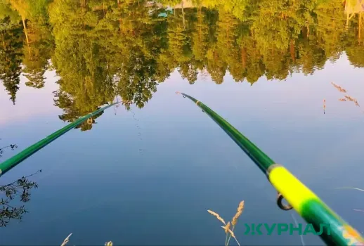 Запрет на ловлю рыбы в Саратовской области: сроки и правила