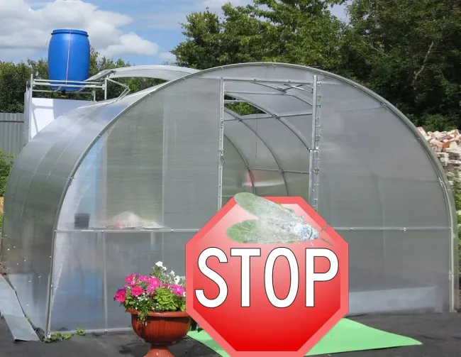 Эффективная дымовая шашка для теплицы: избавьтесь от белокрылки за 2 часа