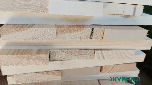 Попытка вывоза хвойной древесины в Узбекистан пресечена в Саратовской области