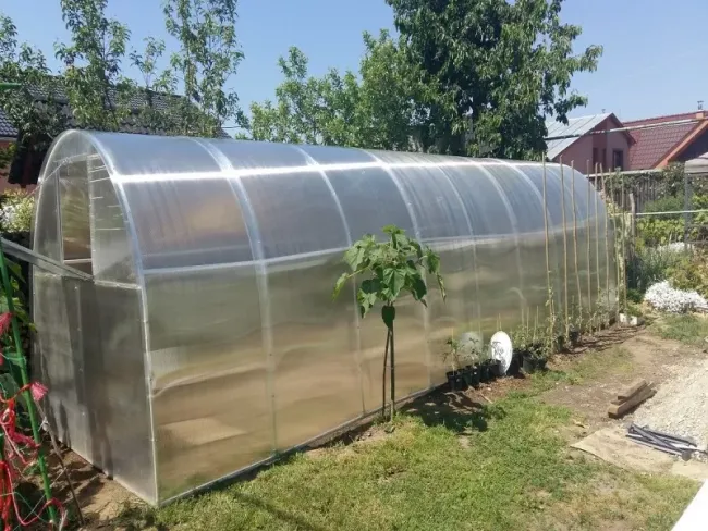 Как защитить теплицу из поликарбоната: 3 простых способа для долговечности