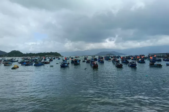 Вьетнам: что нужно знать туристам, чтобы избежать разочарований и неприятных сюрпризов