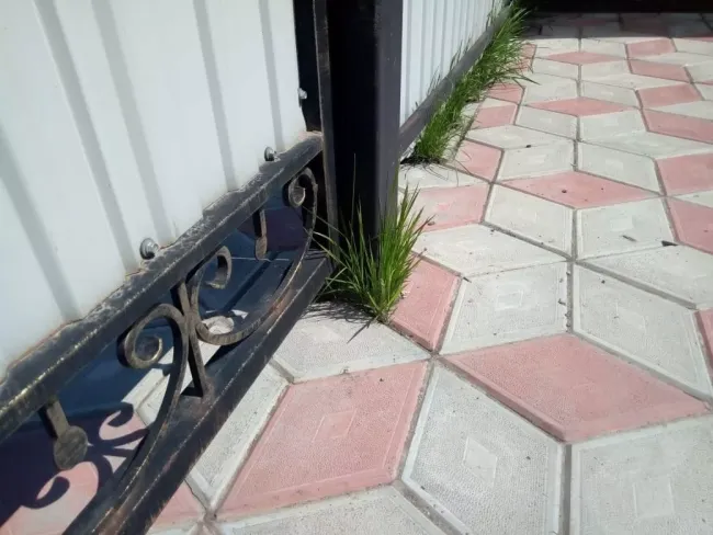 Избавьтесь от сорняков на садовых дорожках за несколько минут с помощью газовой горелки или кипятка