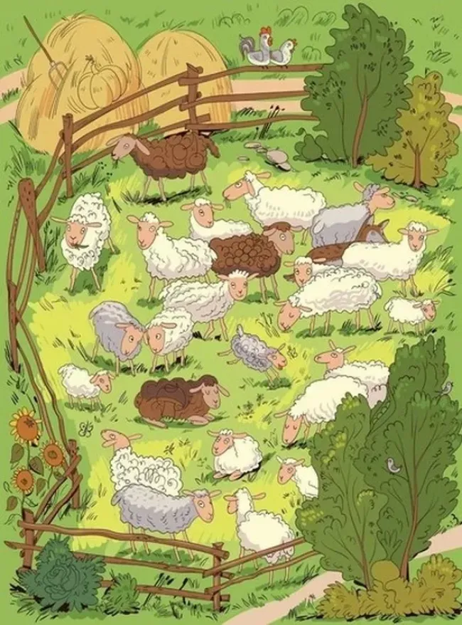 Найдите волка и 10 полезных продуктов за 10 секунд для увлекательного времяпрепровождения