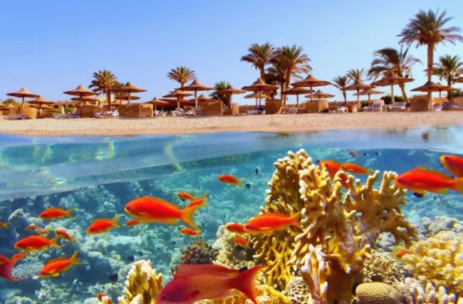 Египетские курорты: как избежать разочарований и насладиться отдыхом