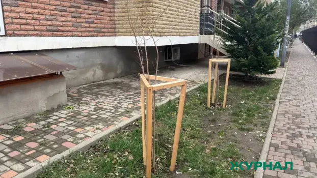 В Саратове высадят 10 тысяч деревьев и кустарников в этом году