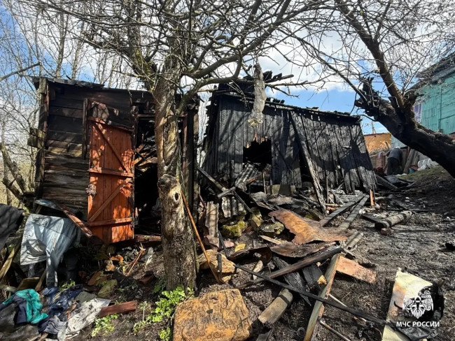 Пожар в Балашове: мужчина получил ожоги, пытаясь потушить костер
