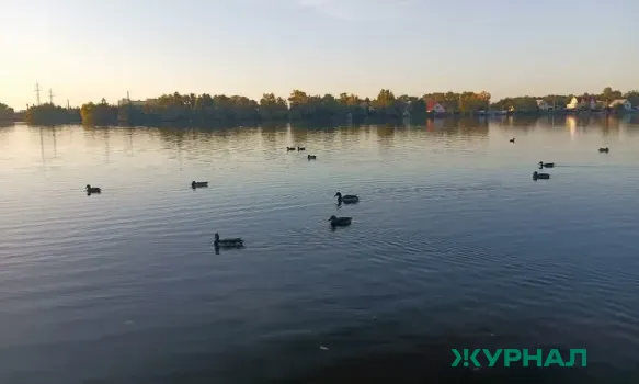 Уровень воды в Волжско-Камском каскаде продолжает расти, ГЭС корректируют режимы работы