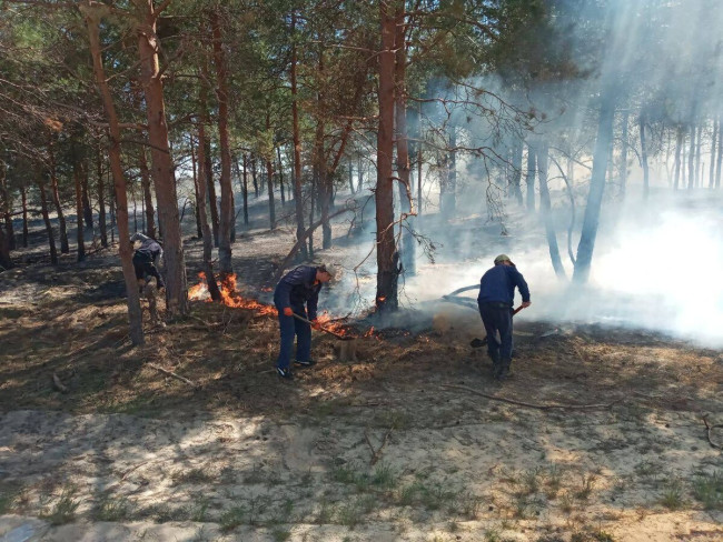 Пожароопасный сезон стартовал в лесах Саратовской области
