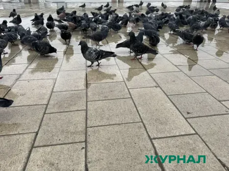 Тёплый день с дождём и грозами ожидается в Саратовской области 6 мая
