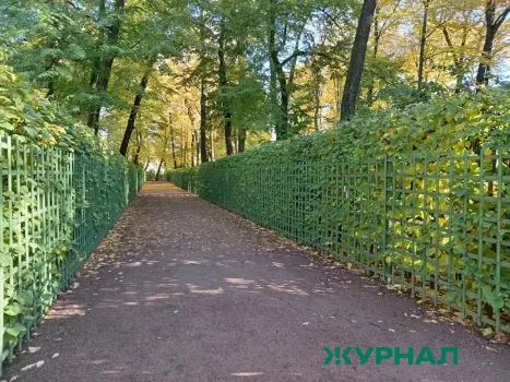Жительница Саратова просит навести порядок в сквере Железнодорожников