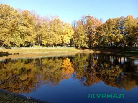 В Саратове стартовало онлайн-голосование за благоустройство общественных территорий