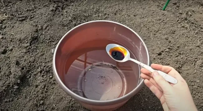 Уникальное удобрение из йода и салициловой кислоты для плодородия почвы