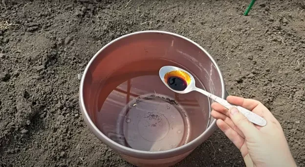 Уникальное удобрение из йода и салициловой кислоты для плодородия почвы