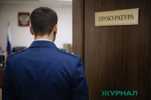 В Гагаринском районе женщину оштрафовали за грубые оскорбления продавца