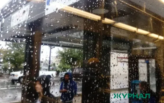 Кратковременный дождь и гроза ожидаются в Саратове 14 мая