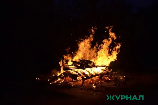 В Саратовской области зафиксированы 7 нарушений правил пожарной безопасности в лесах