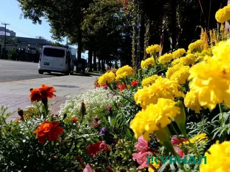 Солнечная погода ожидается в Саратове 18 мая