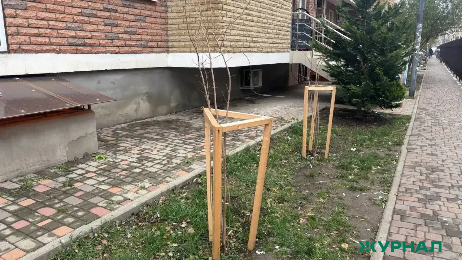 В Саратове высадили новые кустарники на пересечении Мичурина и Провиантской